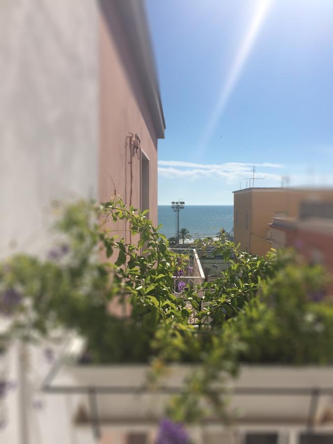 B&B Acqua Di Sale 曼弗雷多尼亚 外观 照片